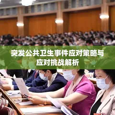 突发公共卫生事件应对策略与应对挑战解析