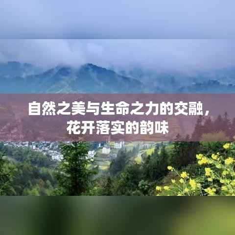 自然之美与生命之力的交融,花开落实的韵味