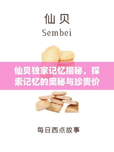 仙贝独家记忆揭秘,探索记忆的奥秘与珍贵价值