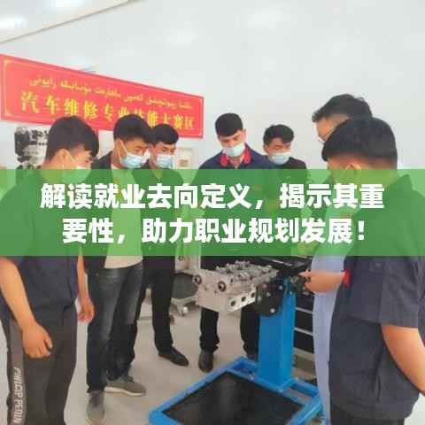 解读就业去向定义，揭示其重要性，助力职业规划发展！