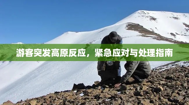 游客突发高原反应,紧急应对与处理指南