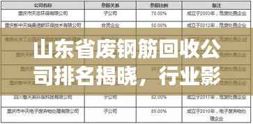山东省废钢筋回收公司排名揭晓，行业影响力榜单重磅出炉！