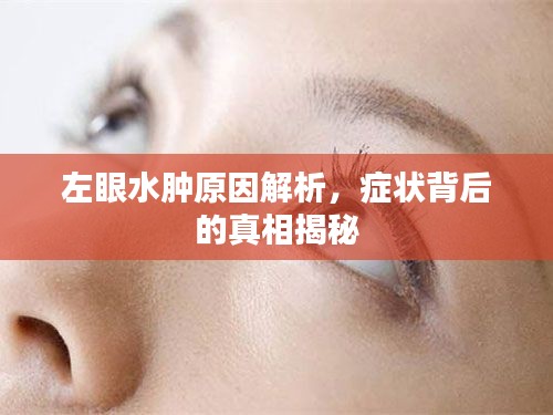 左眼水肿原因解析，症状背后的真相揭秘