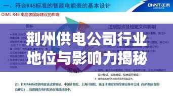 荆州供电公司行业地位与影响力揭秘,排名及影响力不容小觑