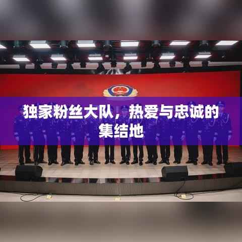 独家粉丝大队,热爱与忠诚的集结地