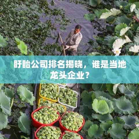 盱眙公司排名揭晓，谁是当地龙头企业？