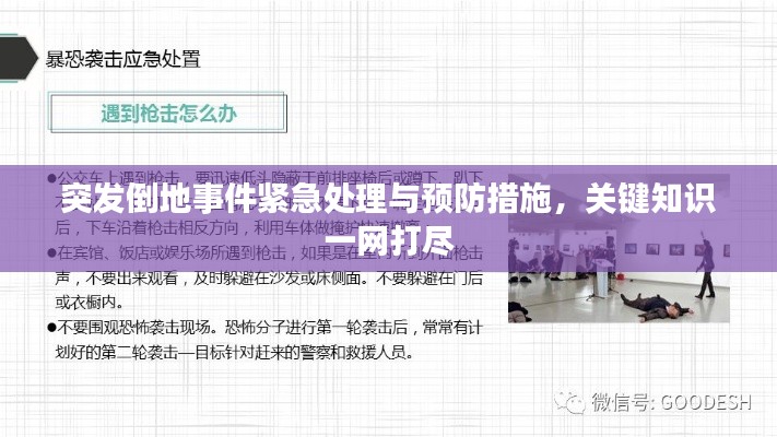 突发倒地事件紧急处理与预防措施,关键知识一网打尽