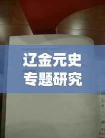 辽金元史专题研究,历史沿革与多元文化的深度交融探索