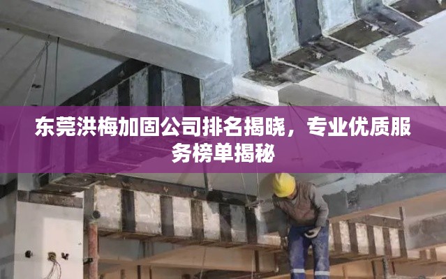 东莞洪梅加固公司排名揭晓，专业优质服务榜单揭秘