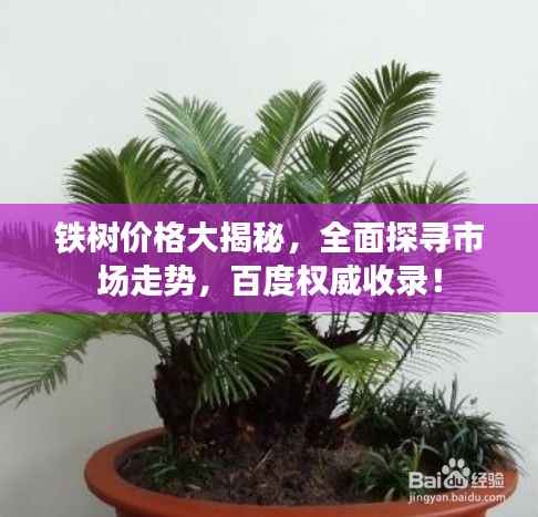 铁树价格大揭秘，全面探寻市场走势，百度权威收录！