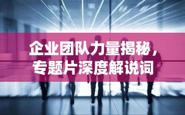 企业团队力量揭秘，专题片深度解说词