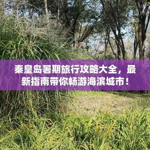 秦皇岛暑期旅行攻略大全,最新指南带你畅游海滨城市!