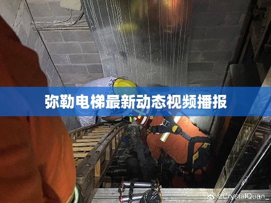 秀外慧中
