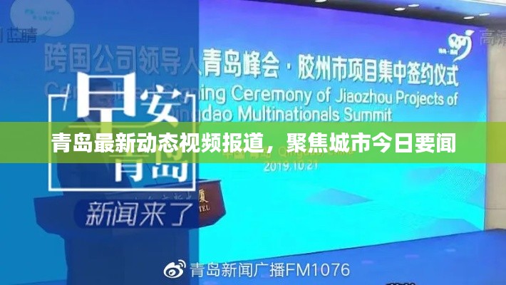 青岛最新动态视频报道,聚焦城市今日要闻