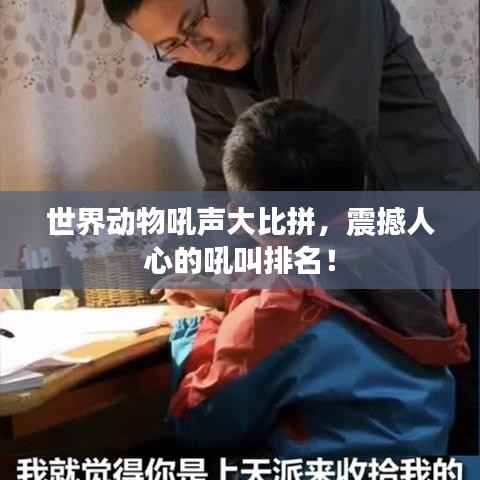 世界动物吼声大比拼，震撼人心的吼叫排名！